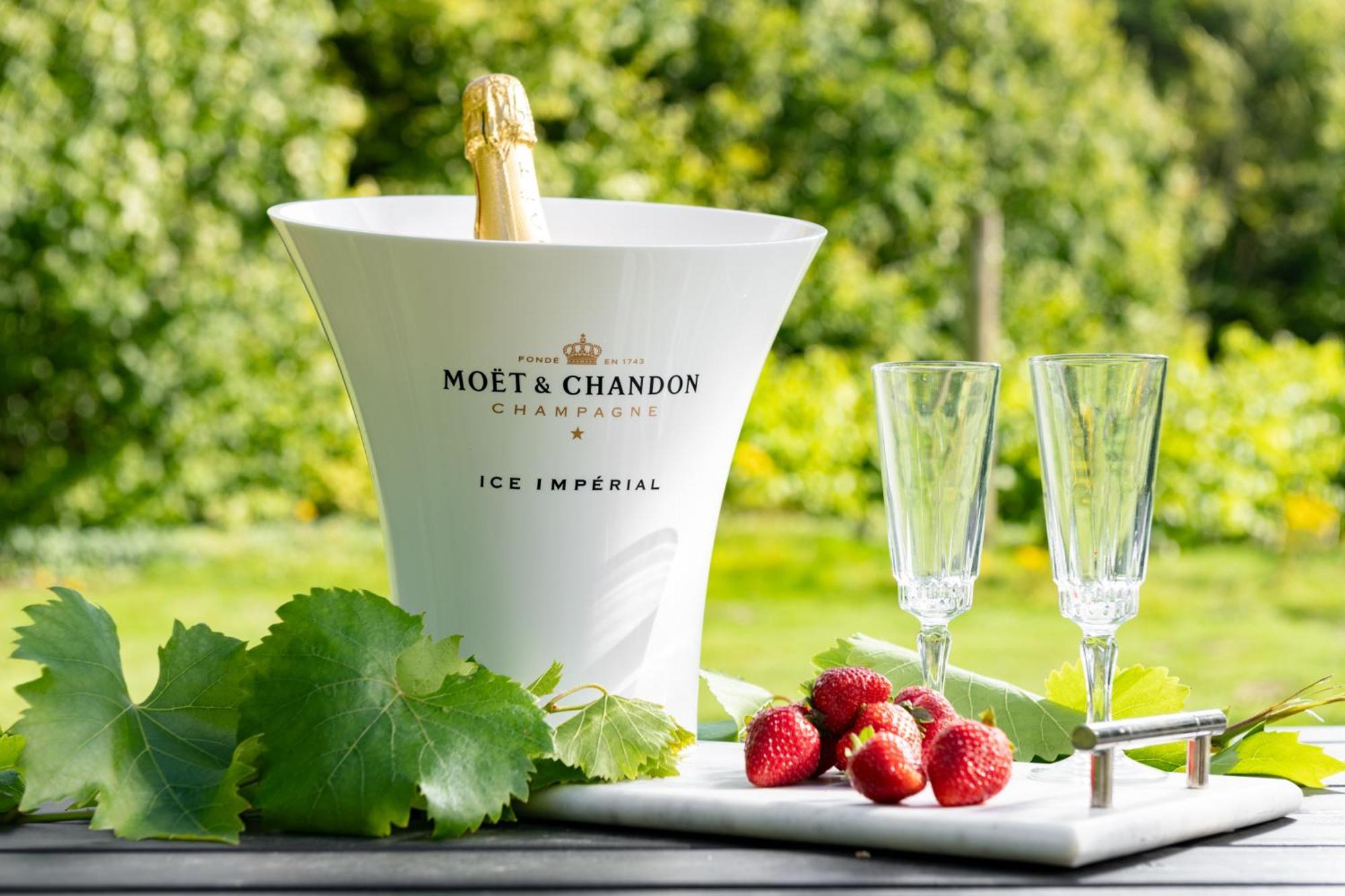 Downwood Vineyard Manor In Idyllic Countryside Villa Blandford Forum Exteriör bild